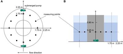 Influences of water velocity on ovarian maturation and antioxidant capacity in adult grass carp (Ctenopharyngodon idellus)